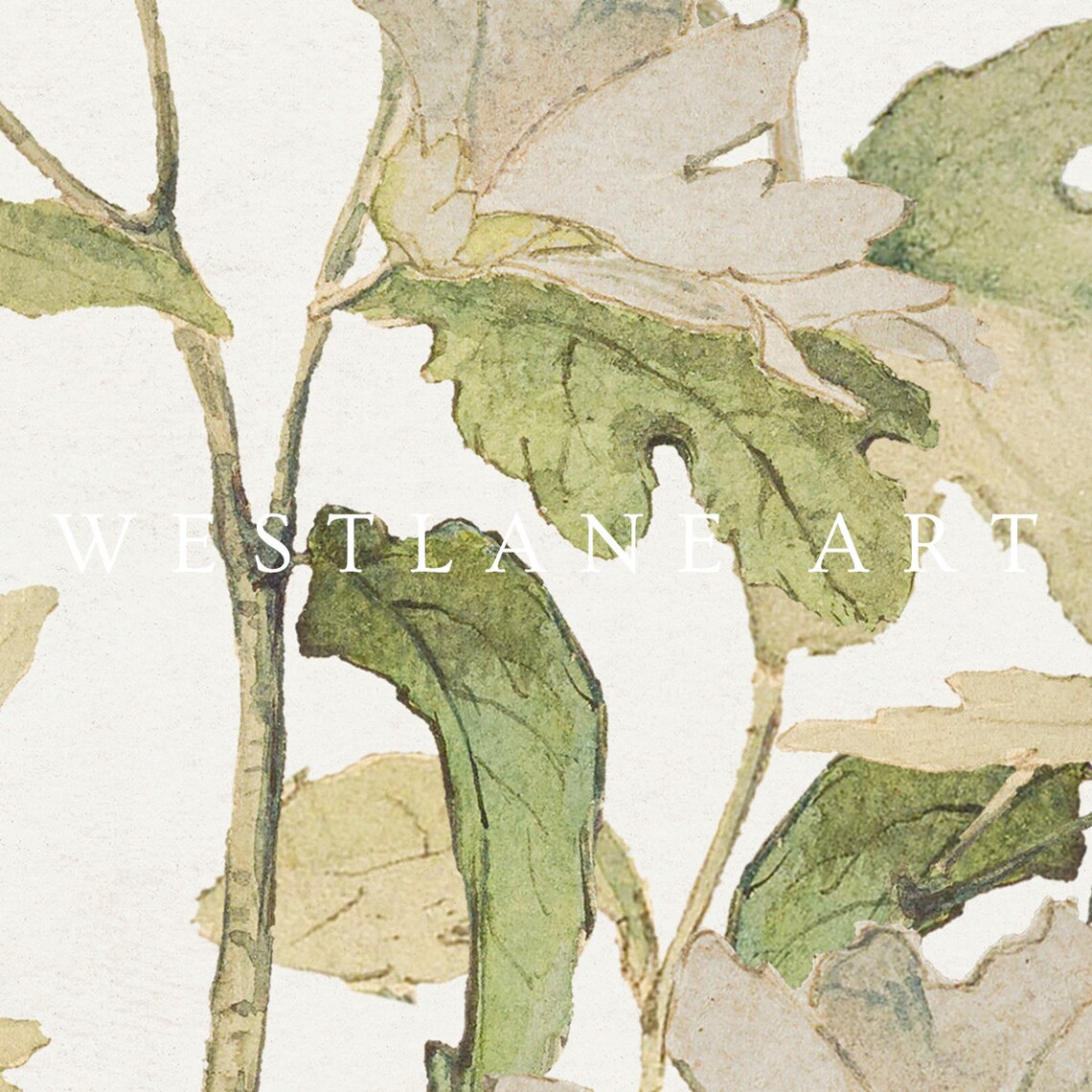 Neutral Wildflower Watercolor Botanical Floral Painting Wall Art - Image 2