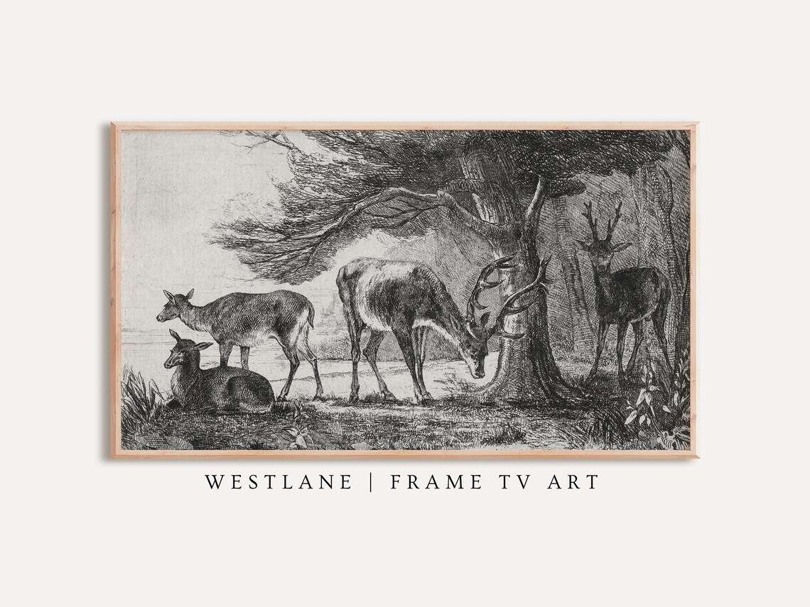 Neutral Vintage Deer Sketch, Winter Forest Landscape