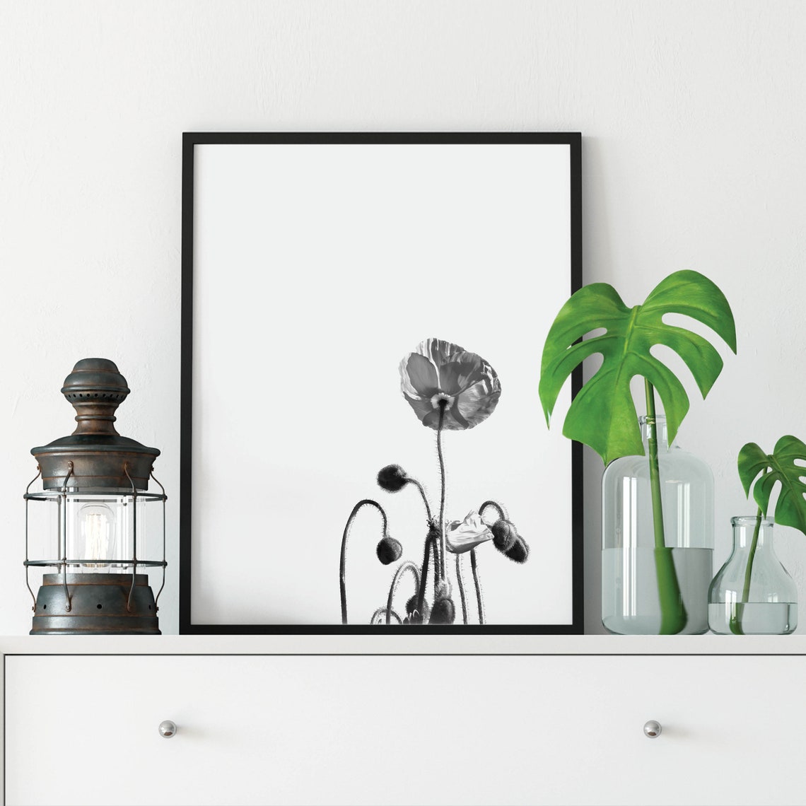 Black And White Poppy Flowers Minimalist Botanical Photo Art Poster