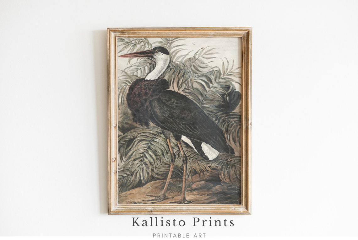 Vintage Heron Illustration Print Botanical Bird Art Ornithology Decor Antique Nature Wall Elegant Wildlife 187