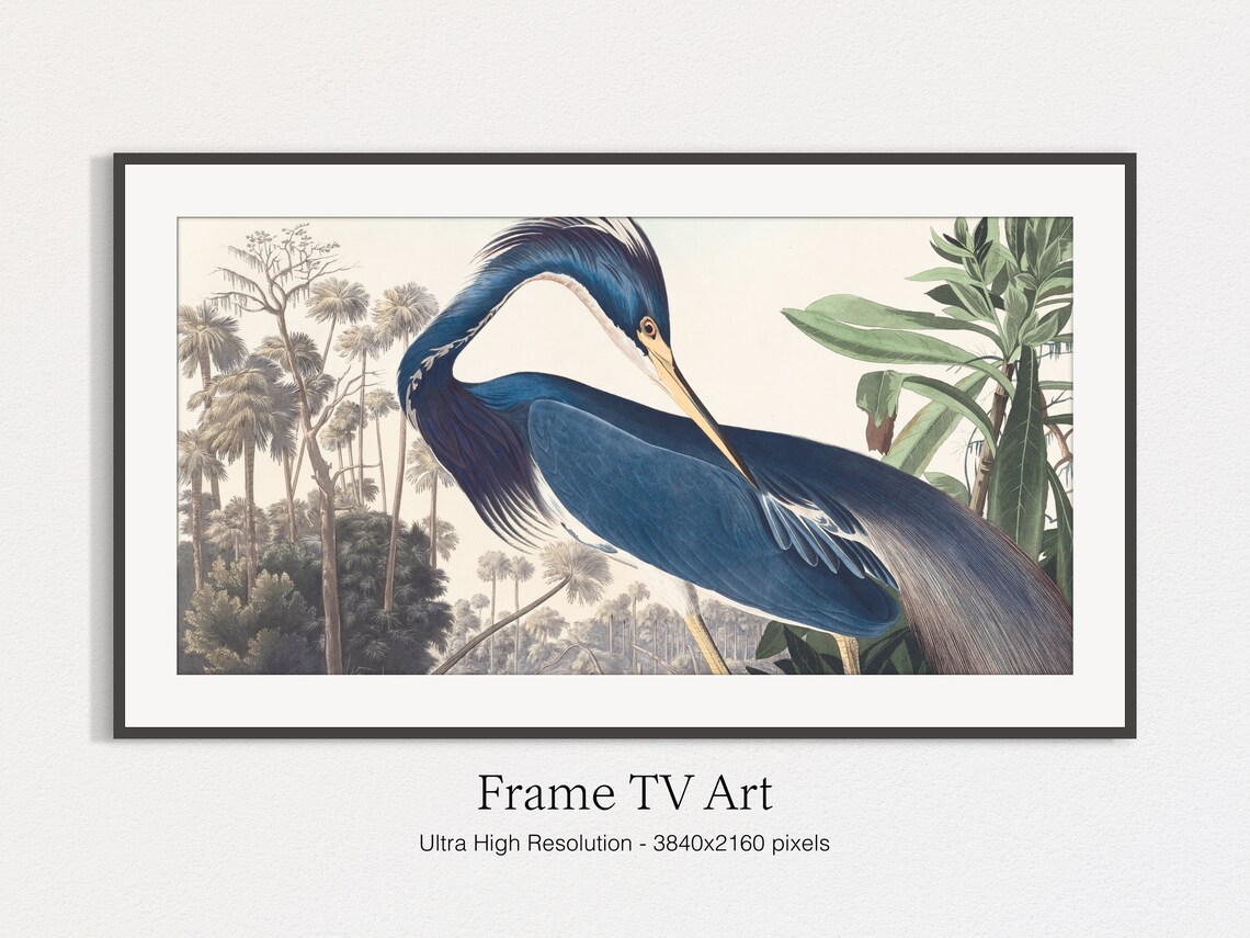 Blue Heron Vintage Art Print for Frame TV - Image 4