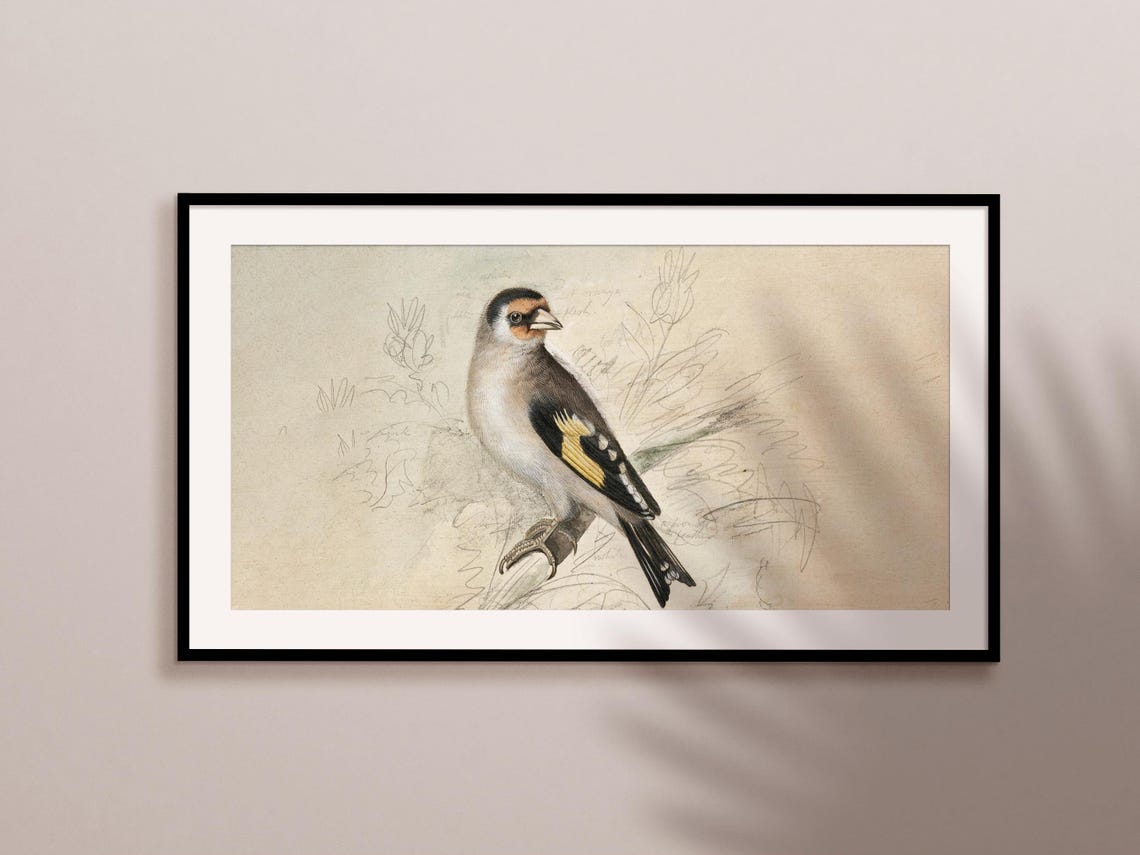 European Goldfinch Perched on a Branch Vintage Bird Illustration Print - Image 2