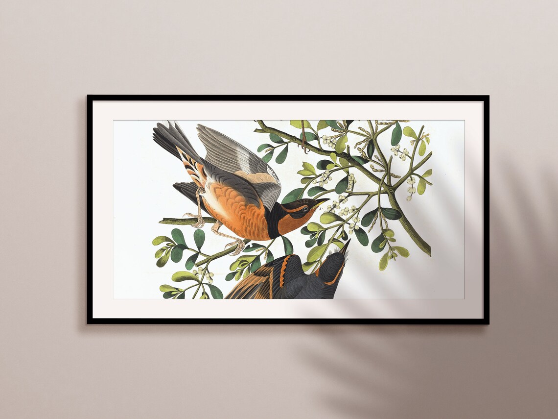 Spring Bird Illustration, Seasonal Wall Art Print - Image 2