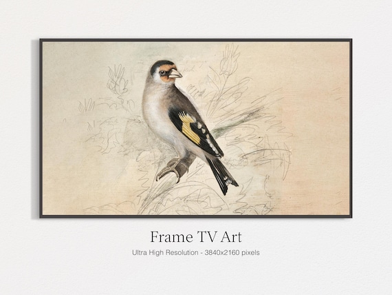 Frame Tv Art Art Vintage Bird Sketch Neutral Tones Art For Tv Moody Oil Painting