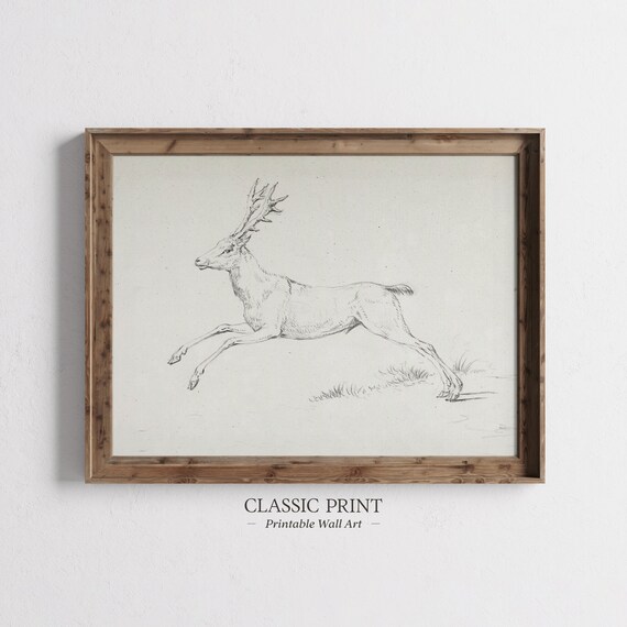 Minimal Deer - Minimalist Art Print