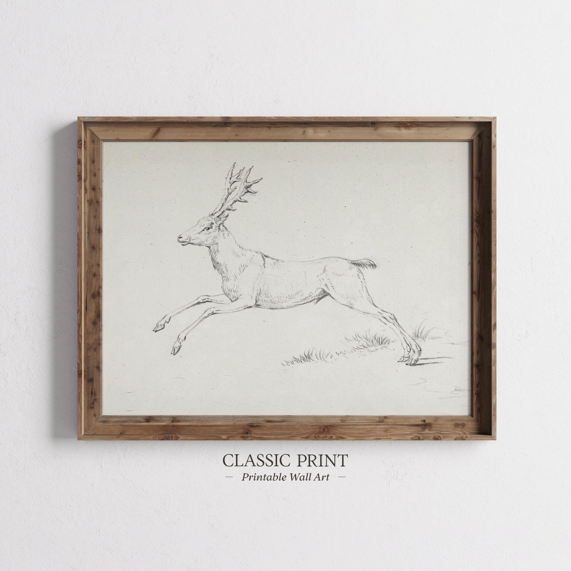Minimal Deer - Minimalist Art Print