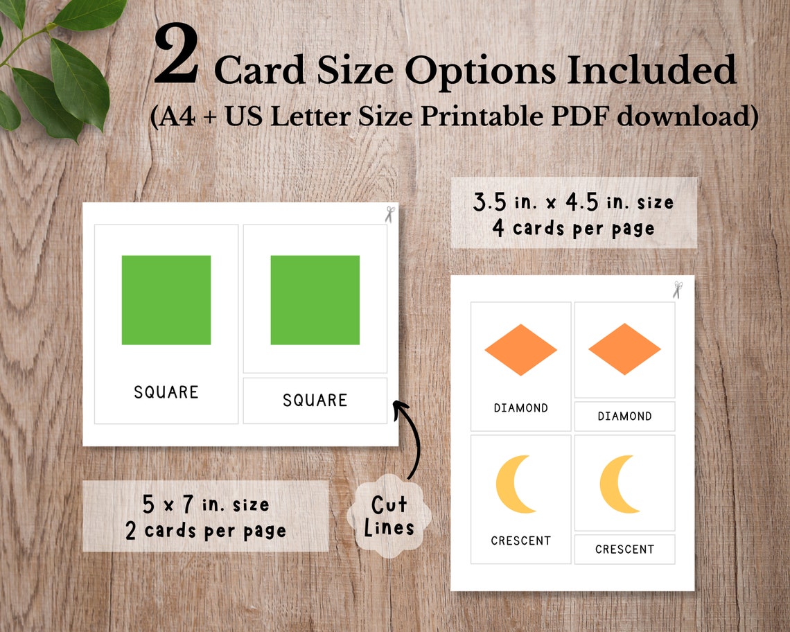 16 Shape Flash Cards, Preschool Montessori Print - Image 2