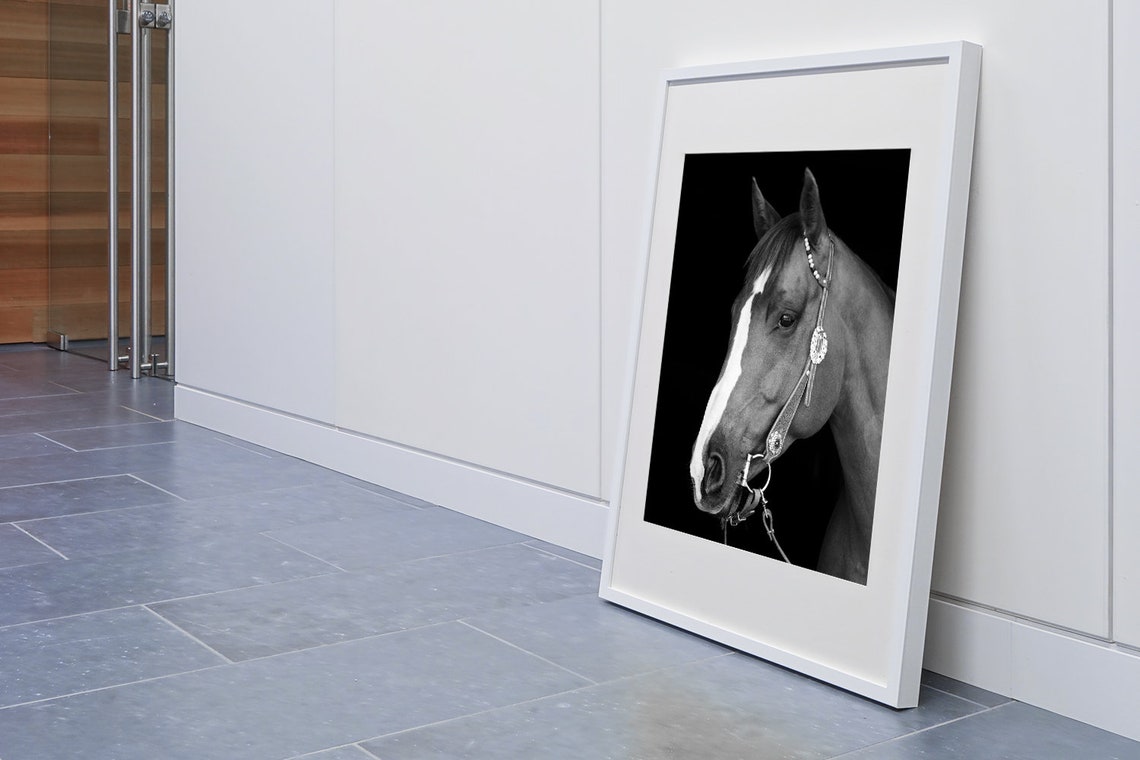 Horse Print Horse Pictures Horse Photography Horse Lover Gift Cute Horse Cute Animal Print Cute Animal Art Black And White Prints - Image 2