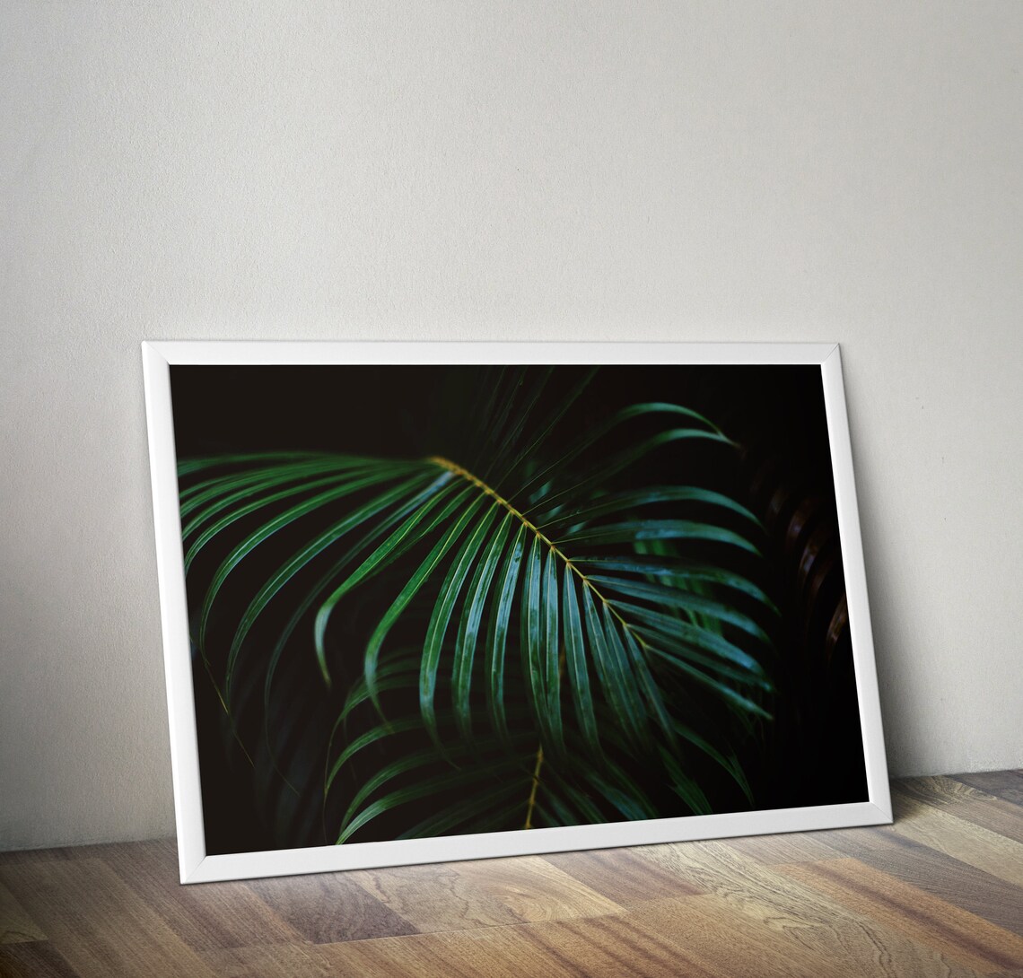 Dark Palm Frond Moody Tropical Botanical Photography Poster Art - Image 2