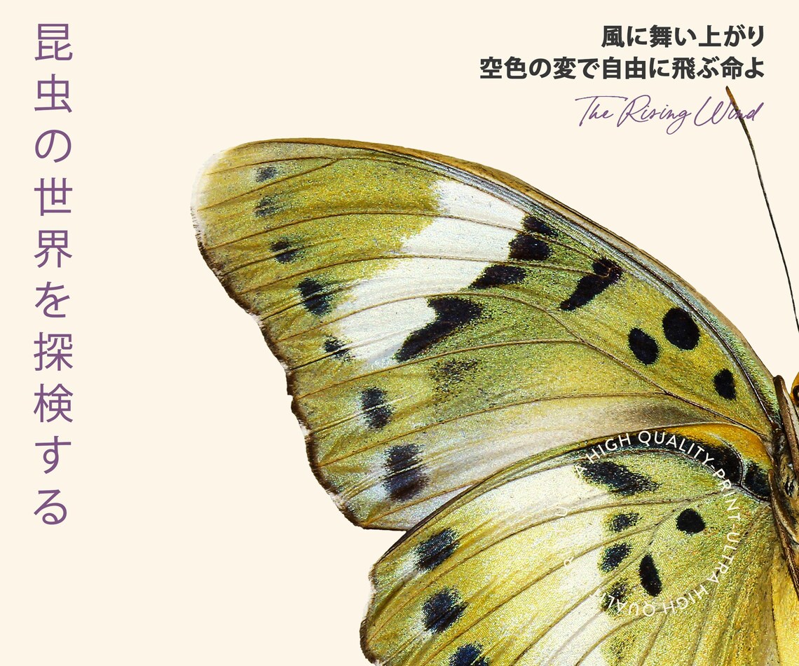 Tokyo Green Butterfly Close Up Japan 1977 Retro Japanese Wall Poster - Image 5