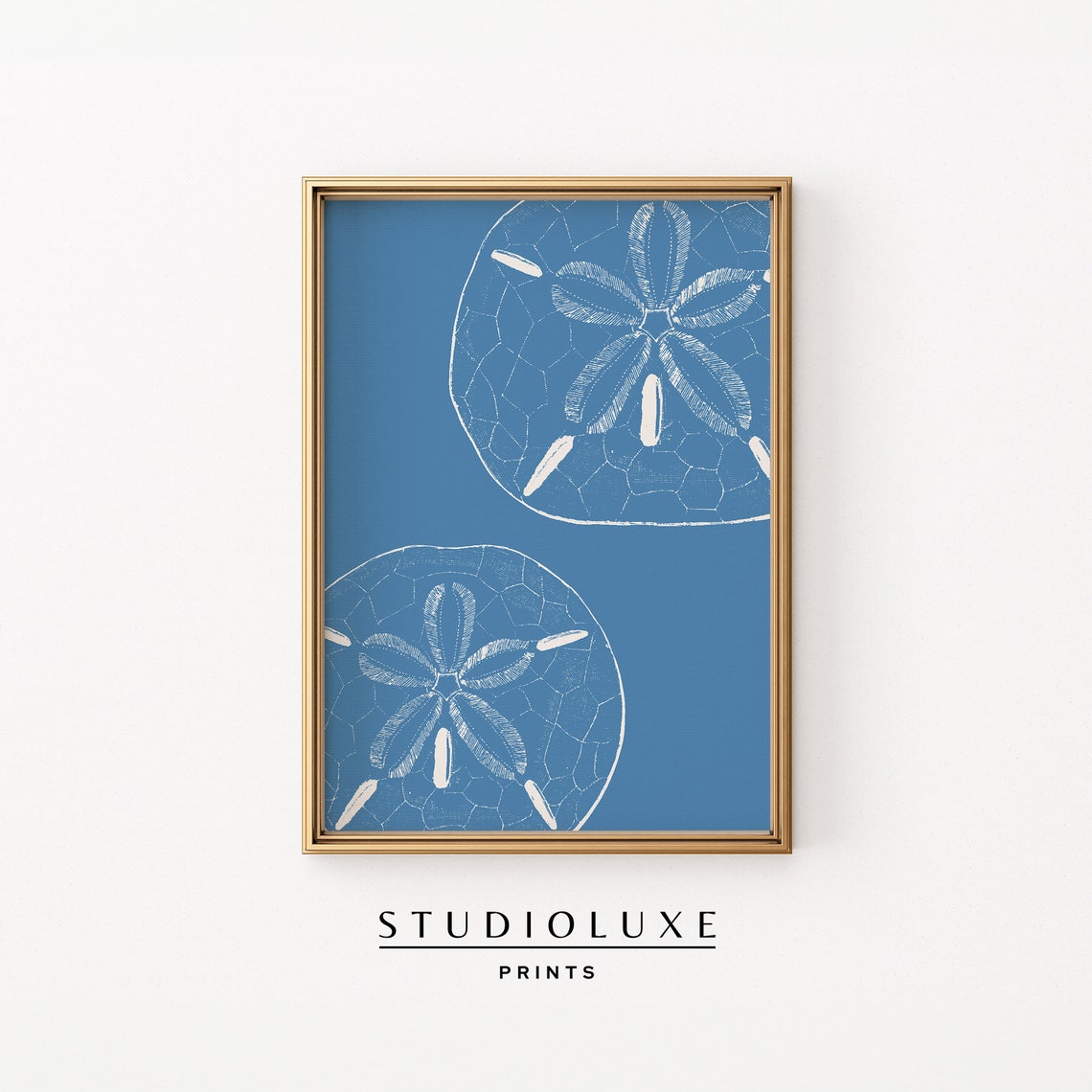 Sand Dollars Pair White Line Art Blue Background Beach Art Poster