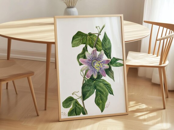 Passionflower Watercolor Purple Blossom Vintage Botanical Wall Art