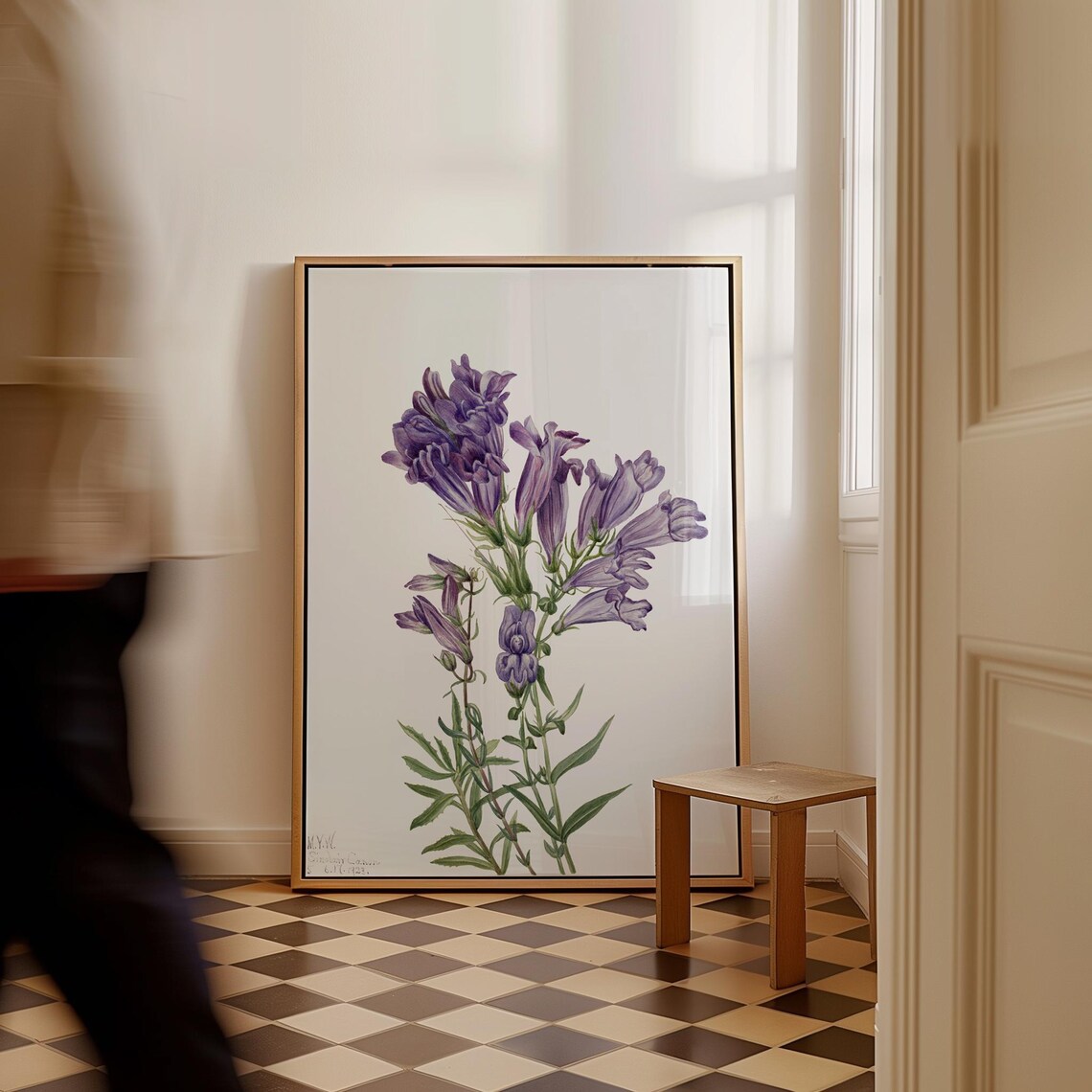 Purple Pentstemon Art Print Vintage Floral Botanical Canvas