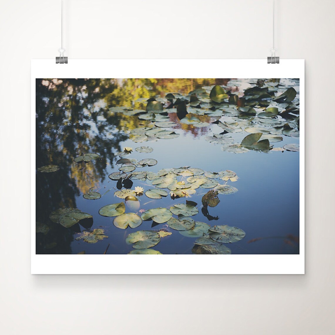 Monets Garden Lily Pond Giverny France Water Lily Photo Print