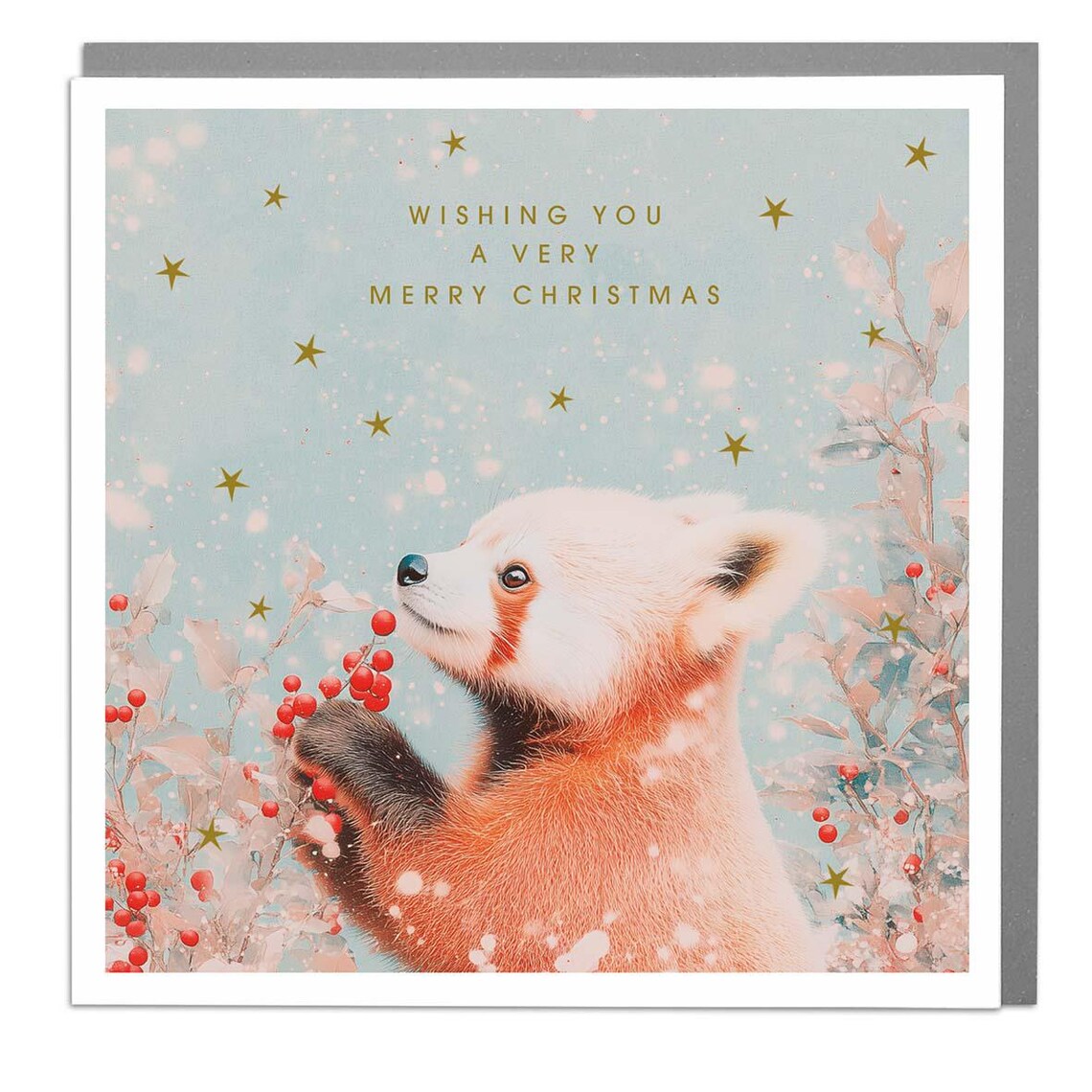 Red Panda Merry Christmas Card, Holiday Art Print