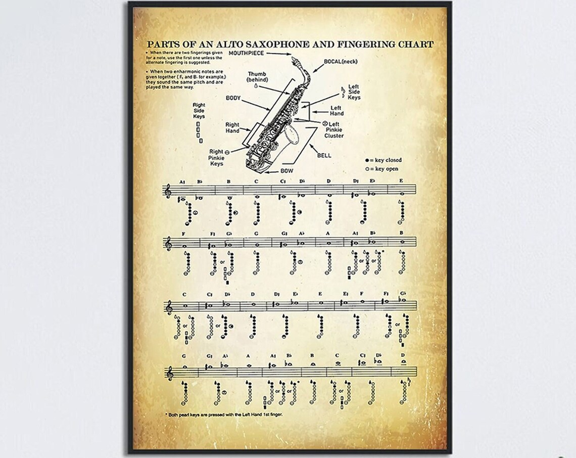 Alto Saxophone Parts And Fingering Chart Music Education Poster