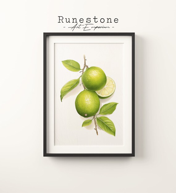 Vintage Lime Branch Botanical Fruit Illustration Green Citrus Art Poster
