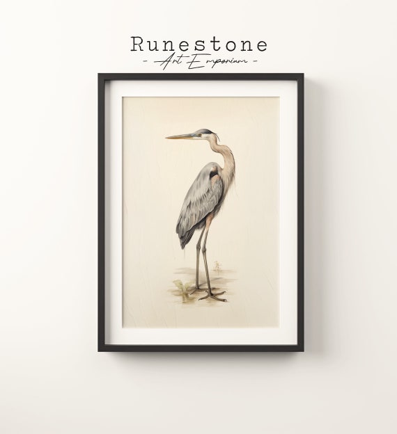 Natural History Heron Bird Sketch Vintage Scientific Boho Wall Art Minimalist Bohemian Hand Drawn Print