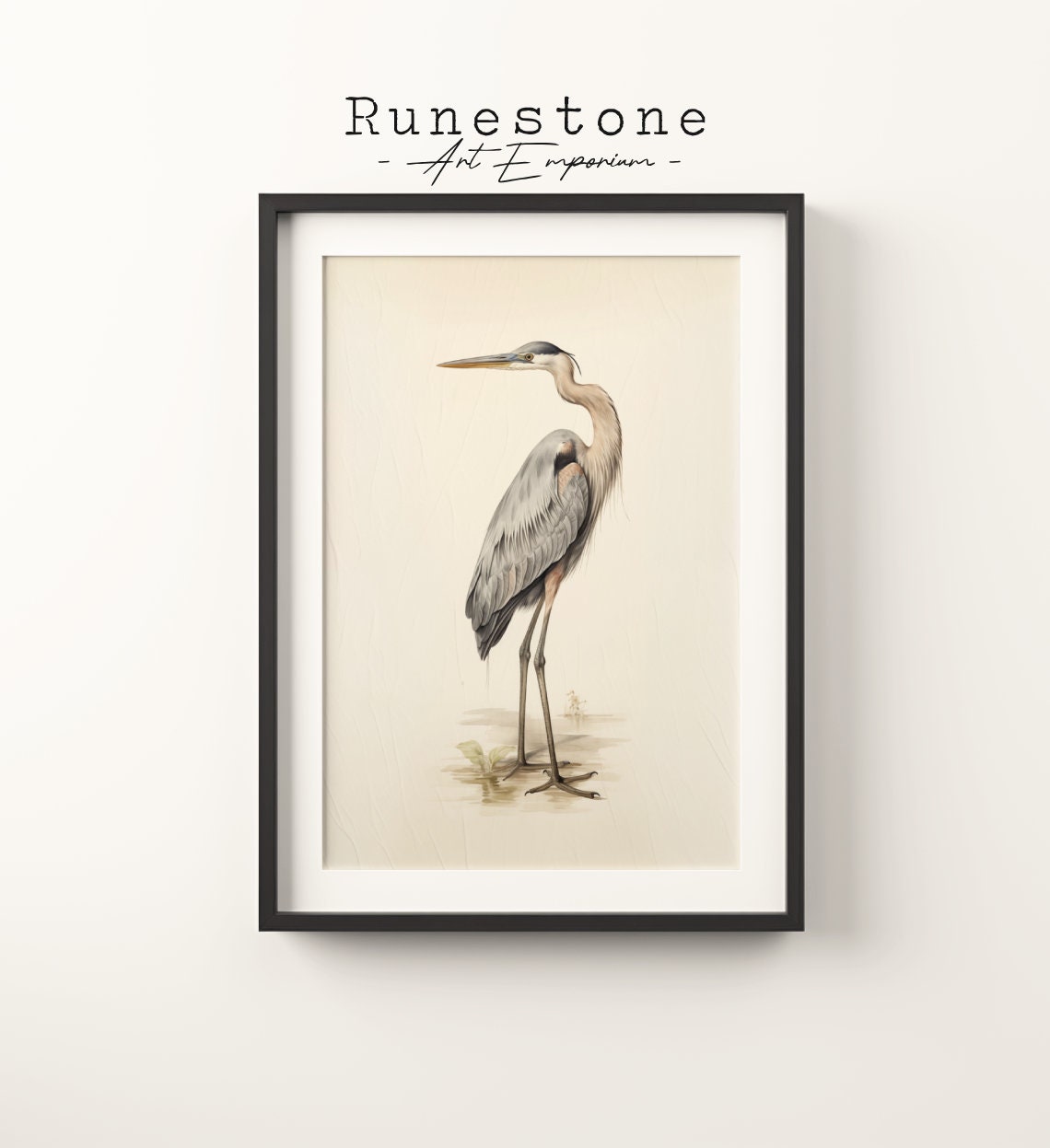 Natural History Heron Bird Sketch Vintage Scientific Boho Wall Art Minimalist Bohemian Hand Drawn Print