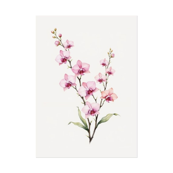 Pink Orchid Blossoms Minimalist Watercolor Botanical Spray Poster