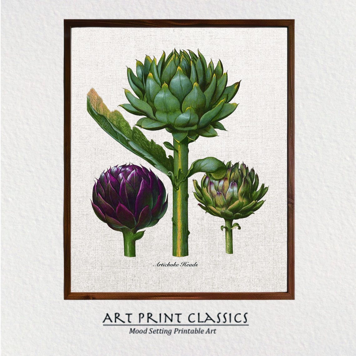 Vintage Artichoke Heads Botanical Illustration Green And Purple Poster