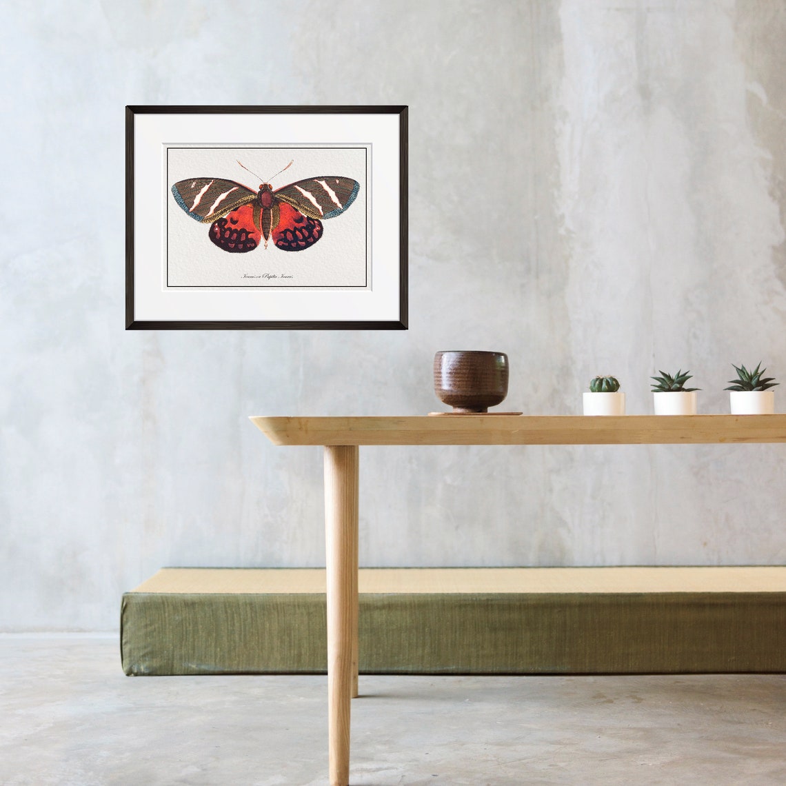 Vintage Icarus Butterfly Natural History Illustration Red Wings Poster - Image 3