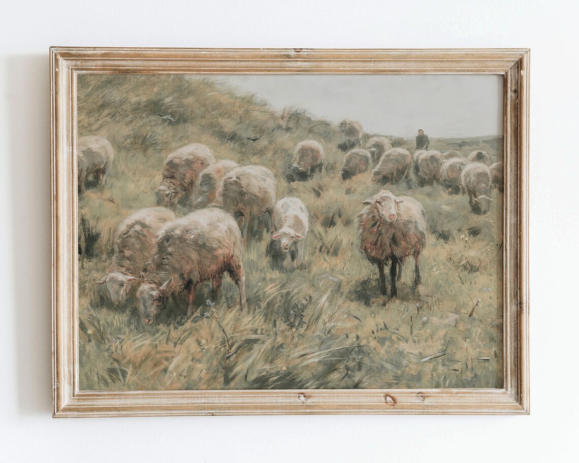European Vintage Sheeps Lambs On Field Animal Portrait Neutral Painting Wall Art Print Rustic Nursery Farmhouse Antique Nature Poster Vp89