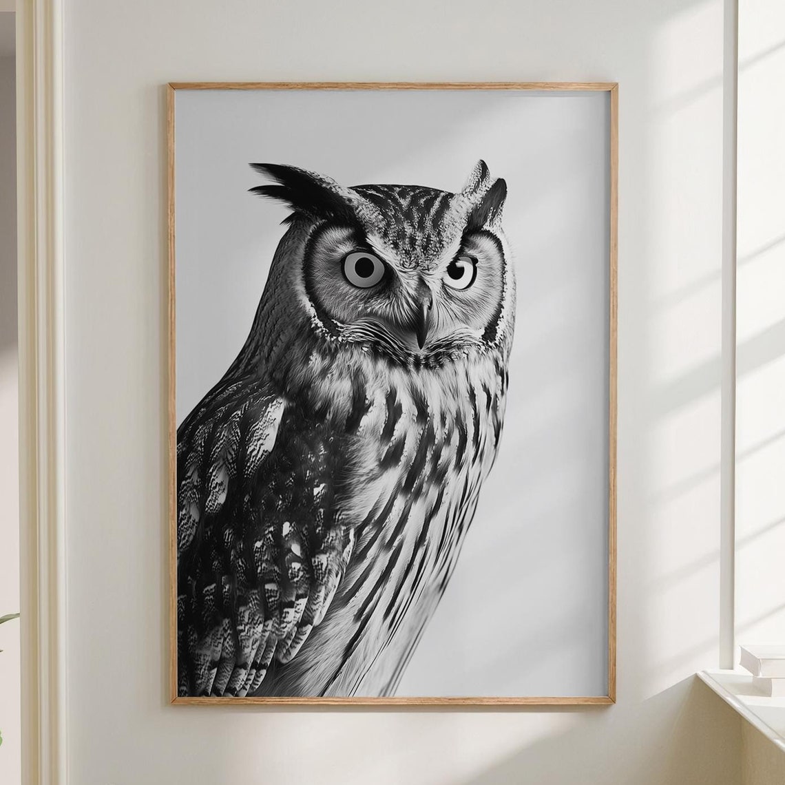 Long Eared Owl Black and White Portrait Photography Wall Poster