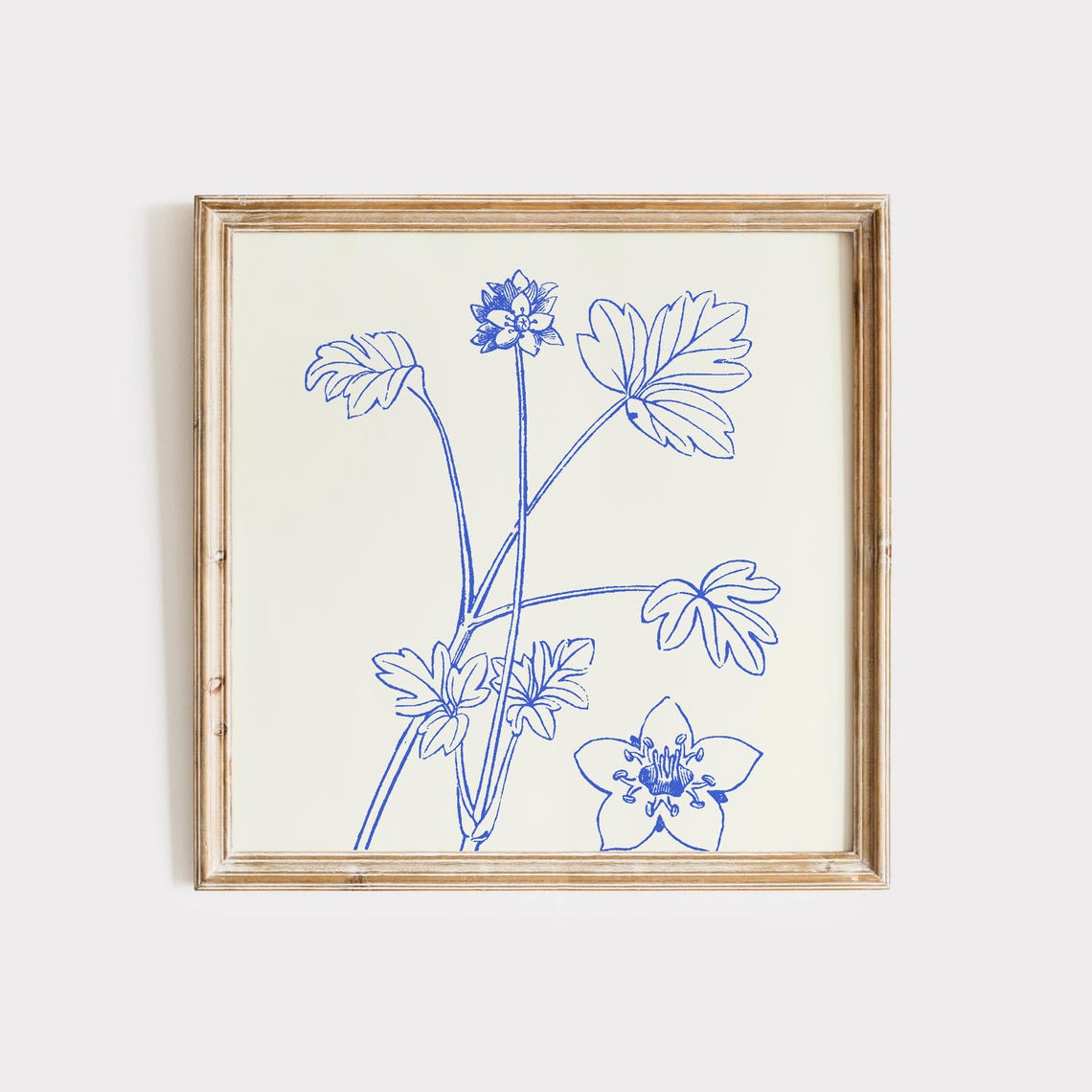 Blue Line Wildflower Botanical Sketch Cream Square Nursery Art Poster