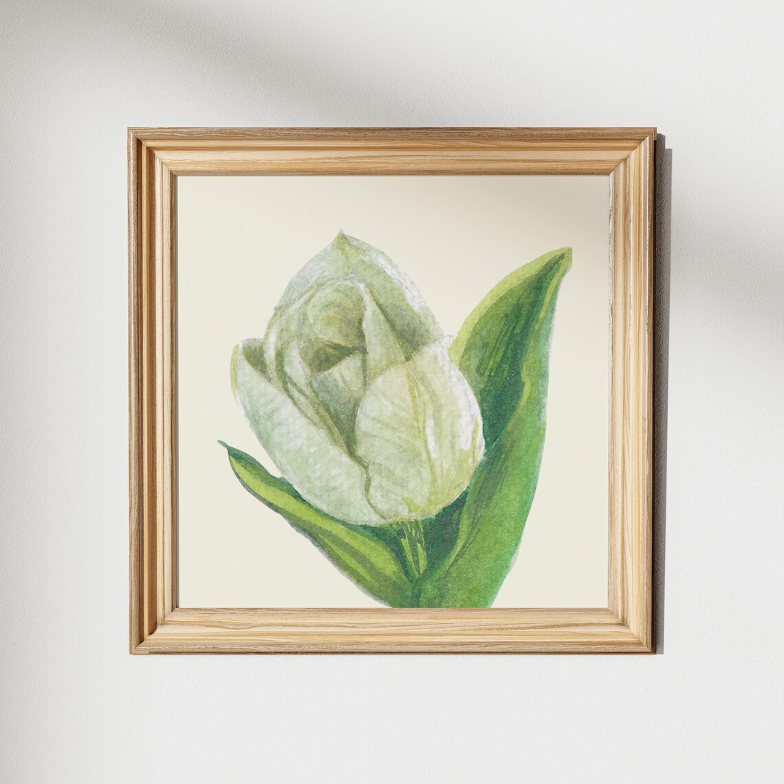 White Tulip Watercolor Botanical Bloom Minimalist Square Wall Art - Image 2