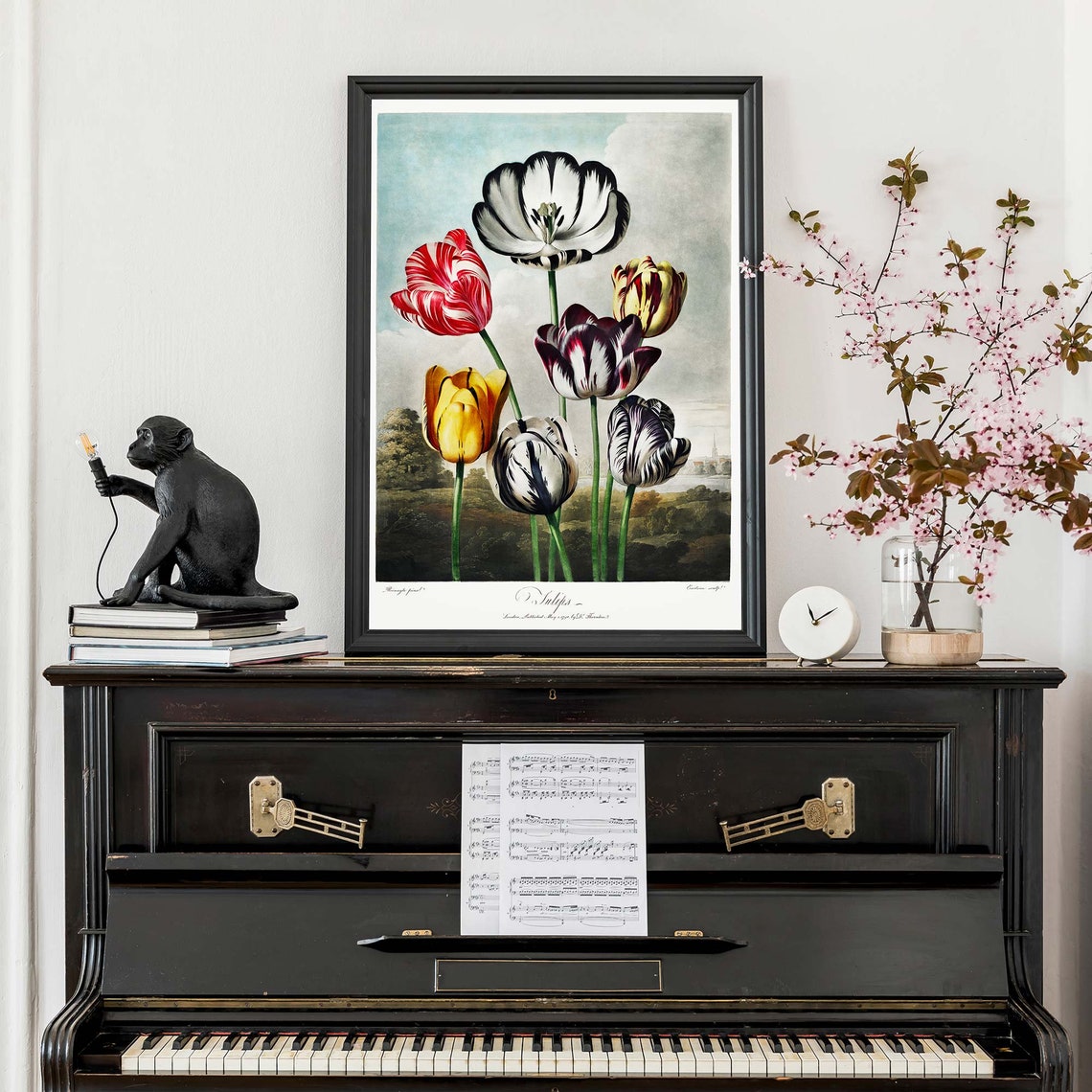 Robert John Thornton Seven Striped Tulips Flower Study Poster - Image 3