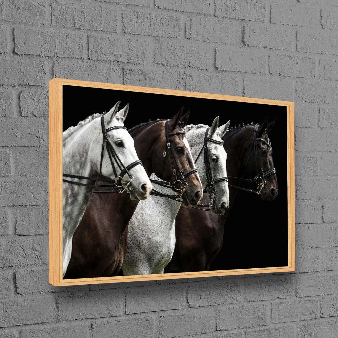 Four Horses Black and White Equestrian Portrait Dramatic Photo Poster