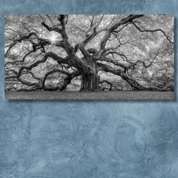 Old Angel Oak Tree, South Carolina Art Print