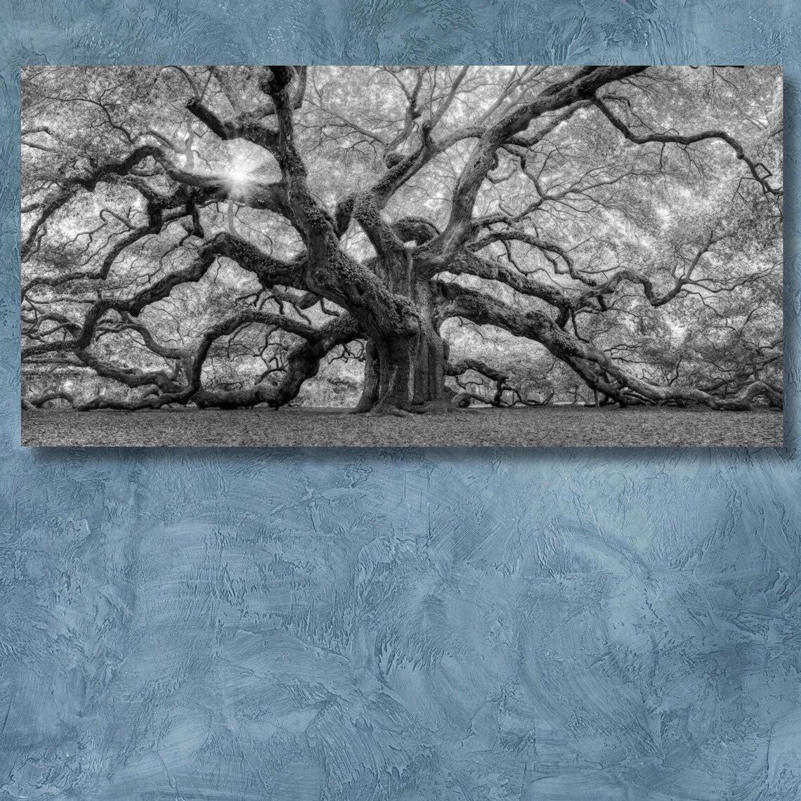 Old Angel Oak Tree, South Carolina Art Print