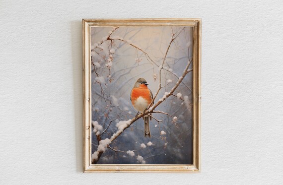 Robin Resting on a Snow Covered Branch in Soft Winter Light Poster