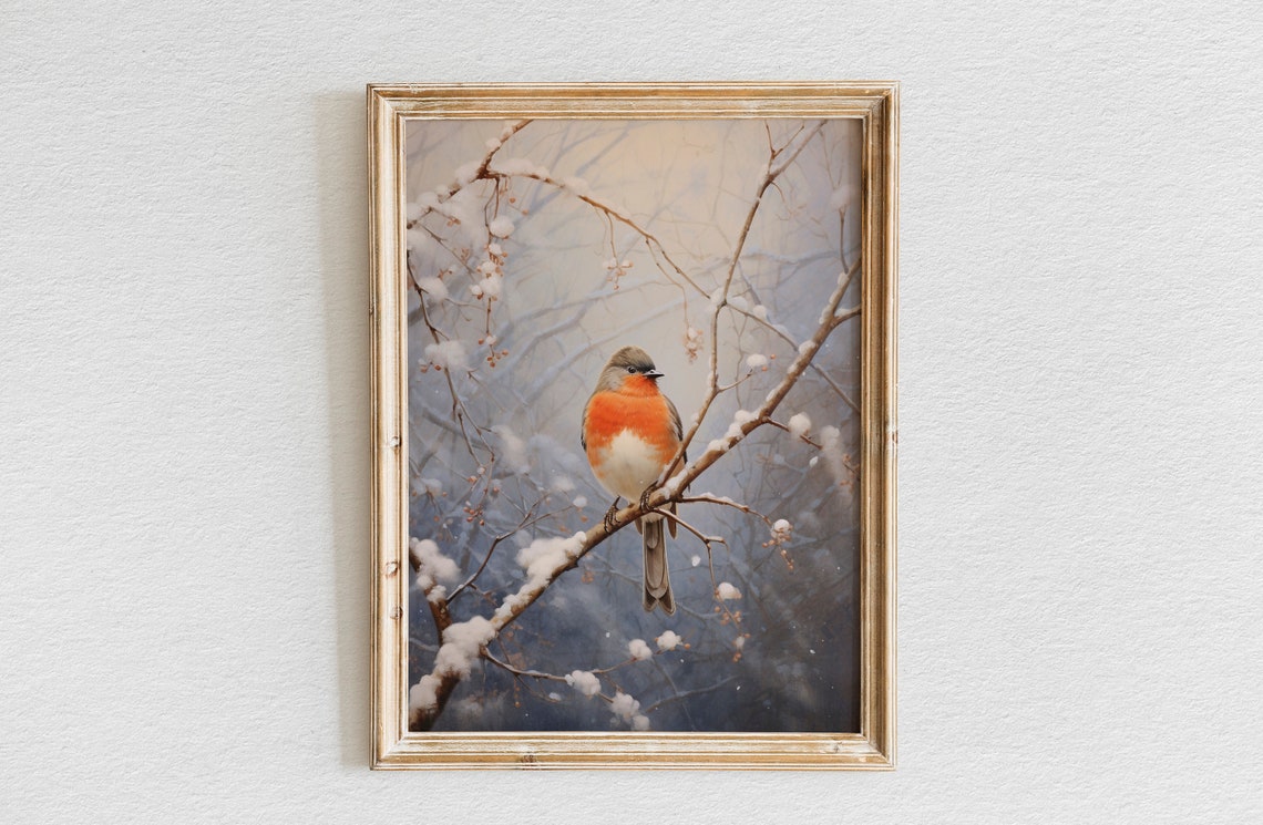 Robin Resting on a Snow Covered Branch in Soft Winter Light Poster