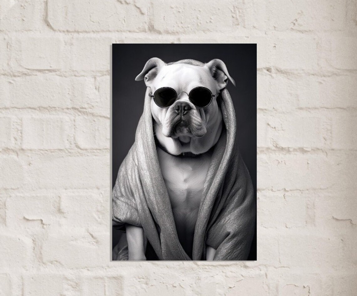 English Bulldog In Robe Sunglasses, Funny Dog Art