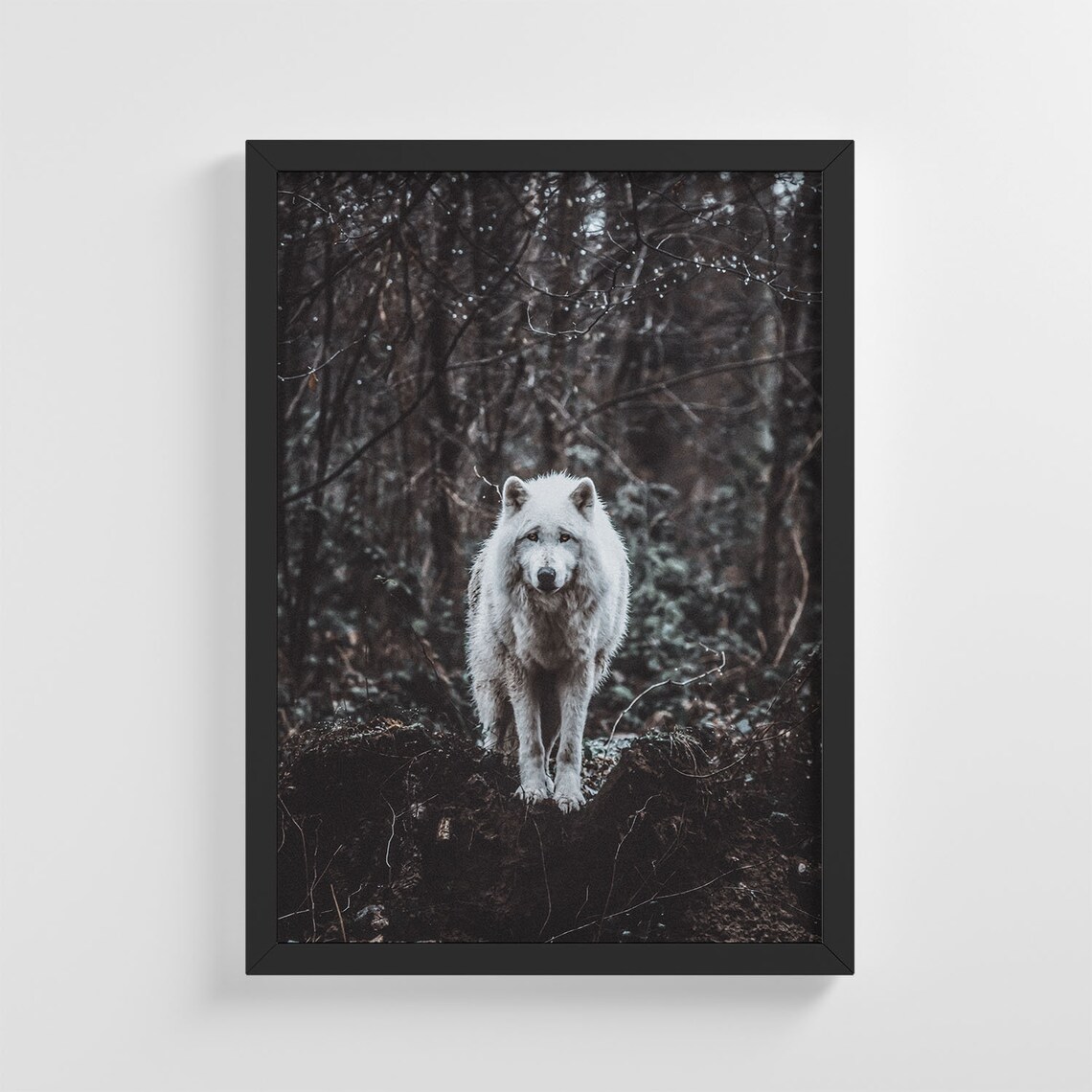 White Wolf Standing Tall in a Dark and Moody Forest Scene Poster