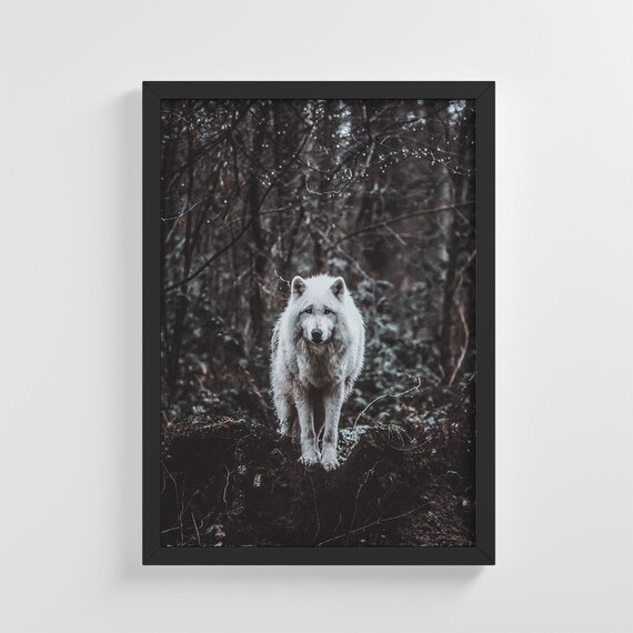 White Wolf Standing Tall in a Dark and Moody Forest Scene Poster