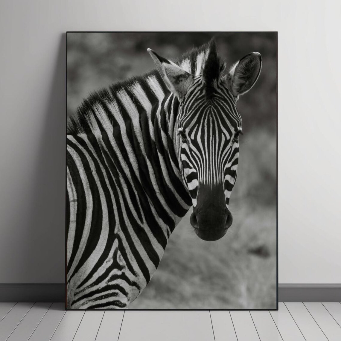 Monochrome Zebra, Wildlife Photography Art Print