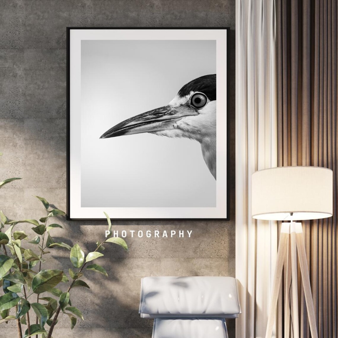 Graceful Heron Portrait, Minimalist Nature Photography - Image 2