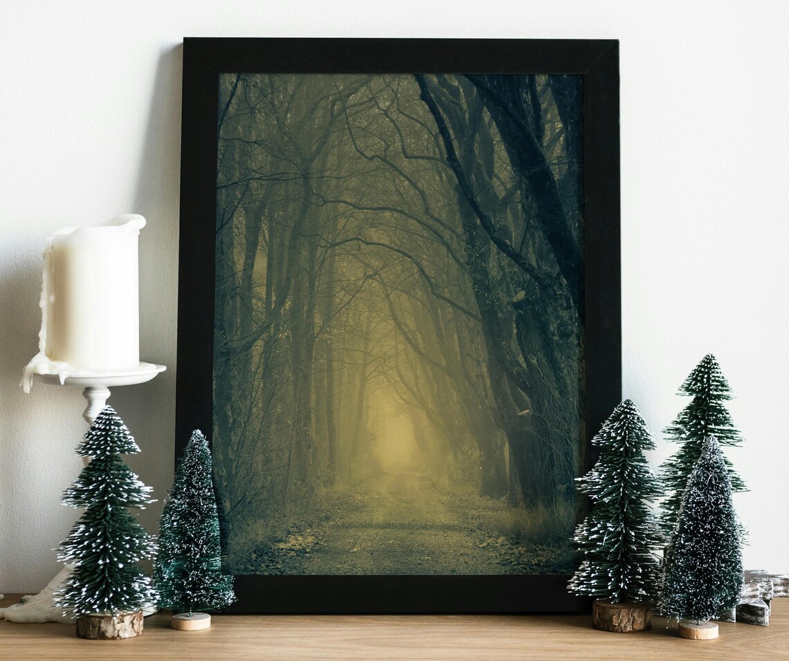 Enchanted Misty Forest, Mysterious Nature Pathway - Image 3