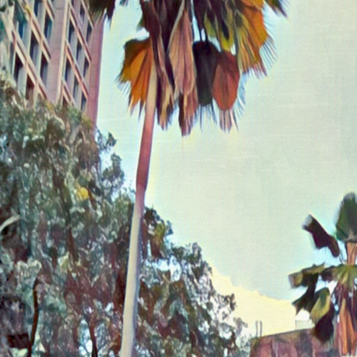 Medellin Colombia Downtown Palm Trees City Street Travel Poster - Image 4