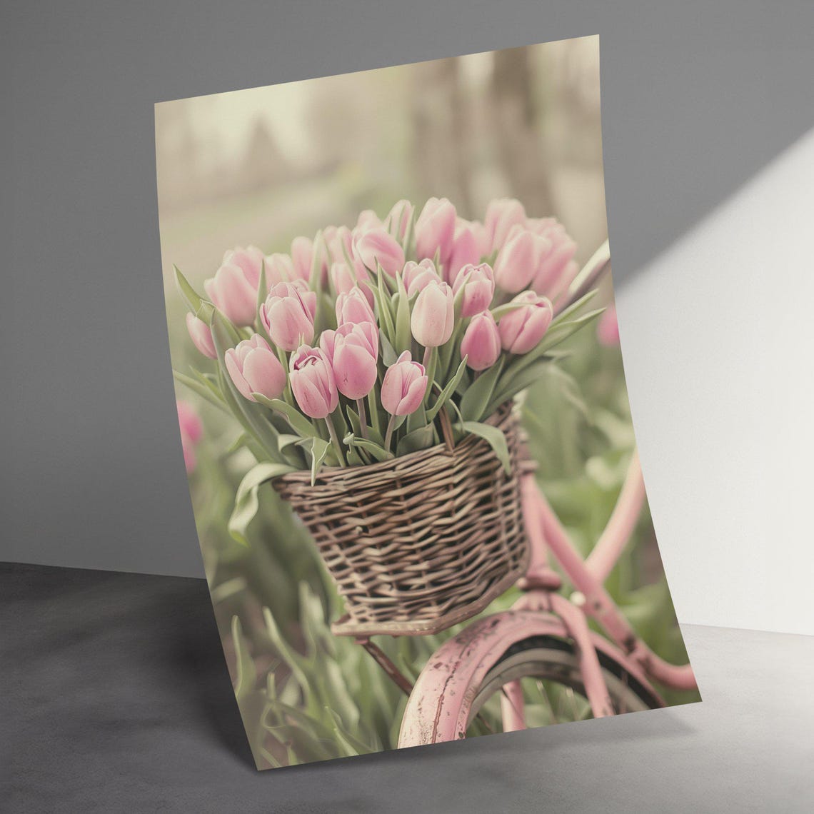 Pink Tulips In Wicker Basket On Vintage Bicycle Spring Poster - Image 3