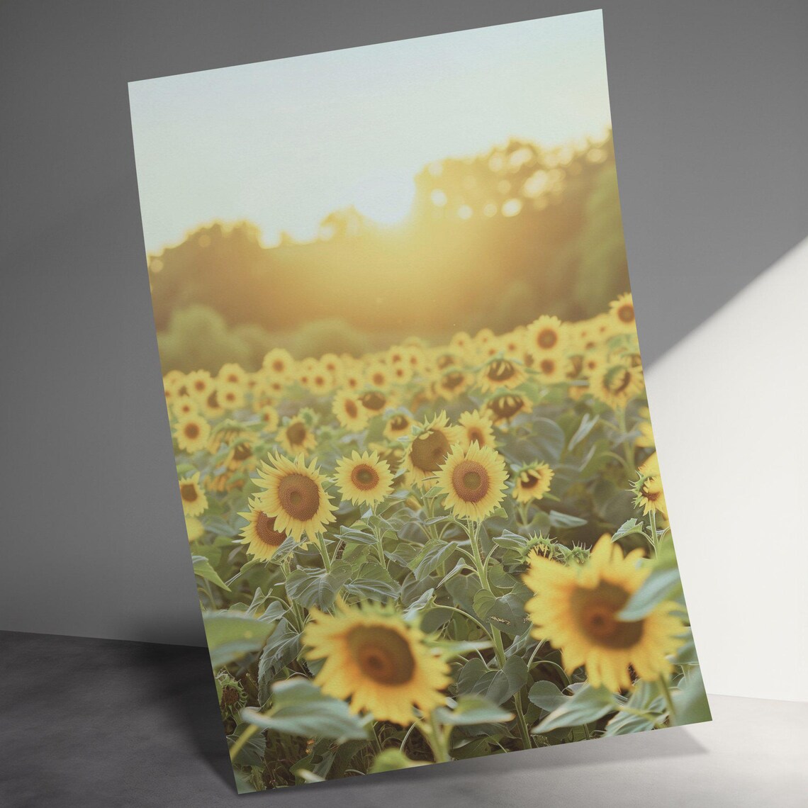 Warm Sunflower Field Golden Hour Sunset Nature Photography Poster - Image 3