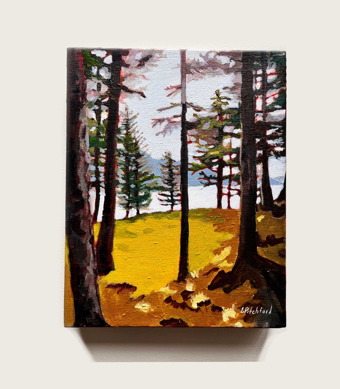 Sunlit Pine Forest Clearing Overlooking The Ocean Landscape Poster