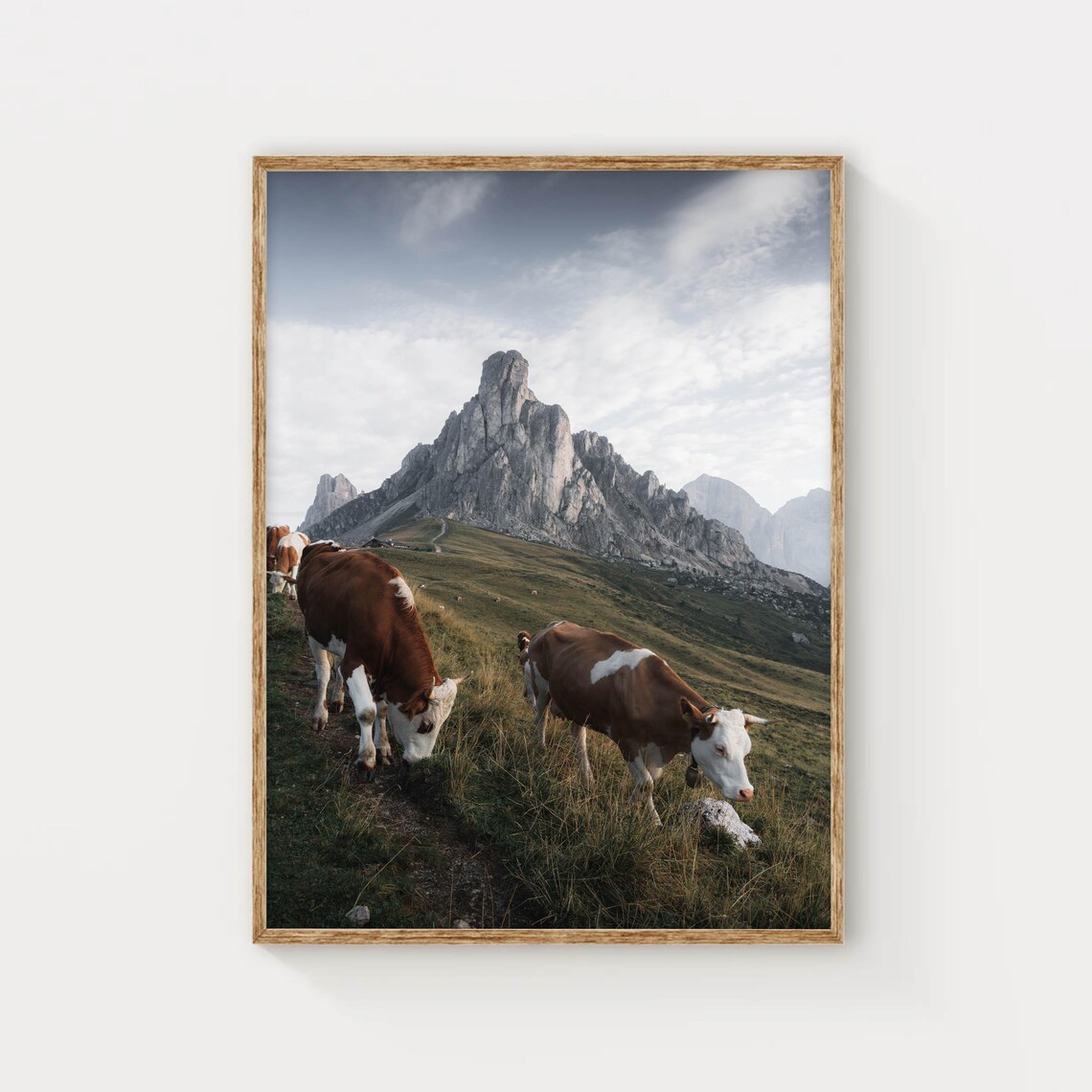 Passo Giau Dolomites Alpine Grazing Cows Mountain Pasture Poster