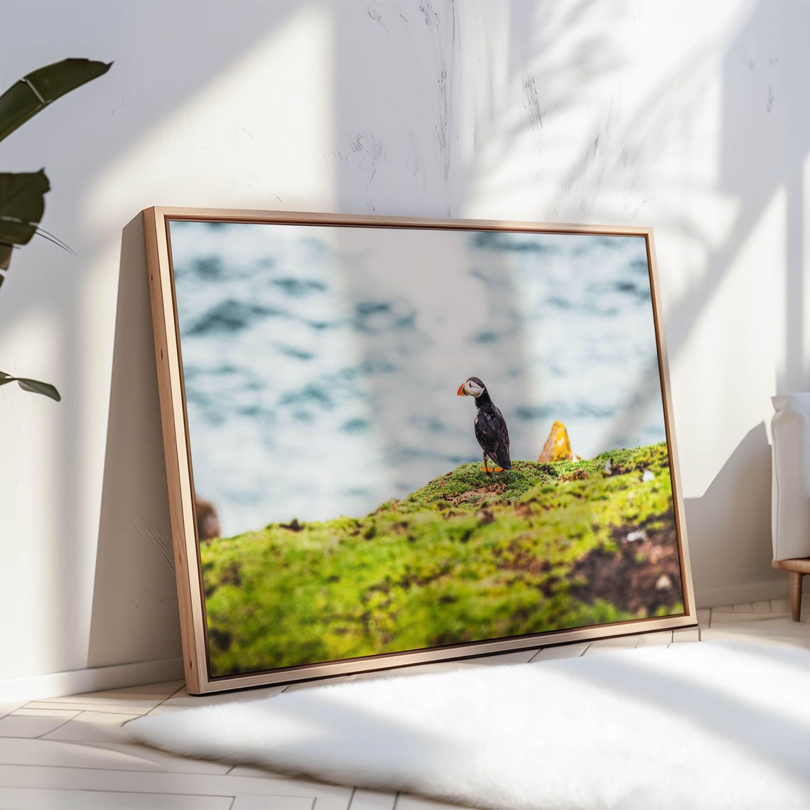 Atlantic Puffin Perched on Mossy Cliff Overlooking the Ocean Poster - Image 3