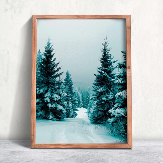 Snowy Pine Forest Winter Wonderland Trail Landscape Photo Print
