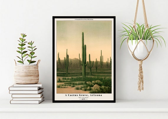 Vintage Desert Cactus Art Print, US Survey Illustration